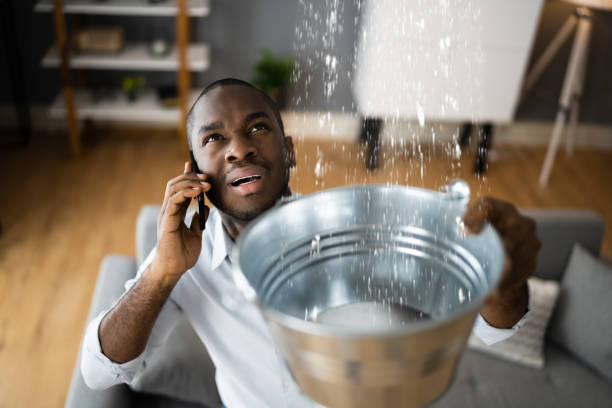 Best Water damage cleanup near me  in Wescosville, PA
