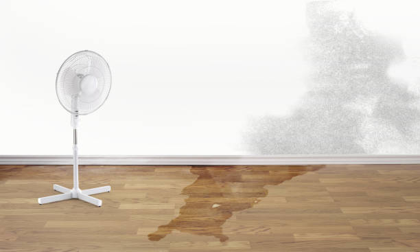 Best Water damage restoration near me  in Wescosville, PA