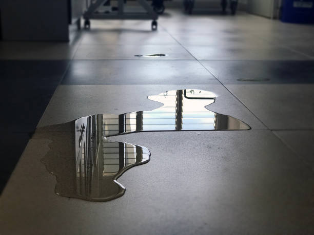 Best Professional water damage repair  in Wescosville, PA
