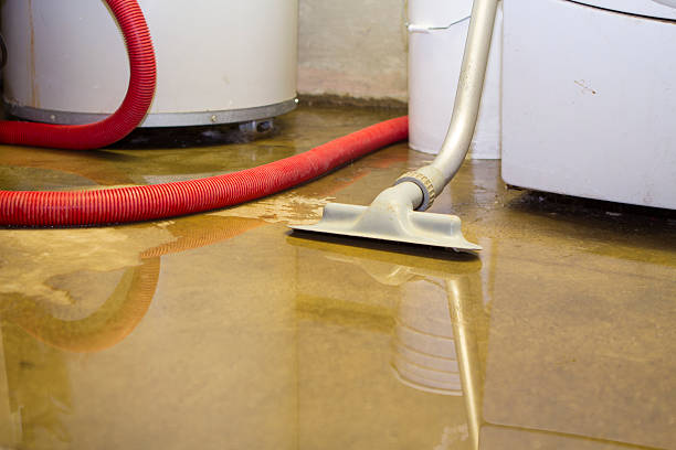 Best 24/7 water damage repair  in Wescosville, PA
