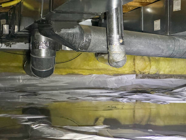 Best Water damage restoration company  in Wescosville, PA