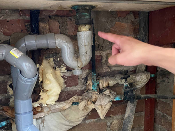 Best Flood restoration services  in Wescosville, PA
